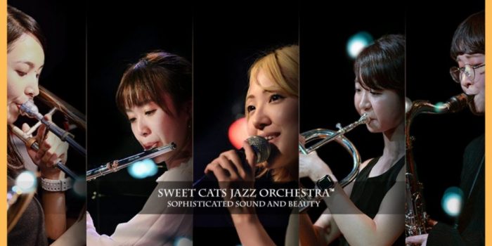 Sweets_Cats-1024x576